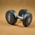 Hammer Strength Rubber Dumbbells