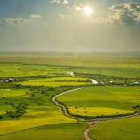 Hulunbuir Steppe