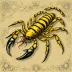 Hottentotta judaicus