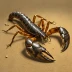 Hottentotta salei