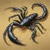 Heterometrus cyaneus