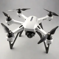 Holy Stone HS110D
