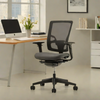 Haworth Plinth Lite Plus Pro Max