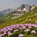 Hengduan Mountains Alpine Tundra