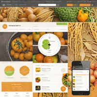 Harvest Time Tracking