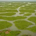 Hadejia-Nguru Wetlands
