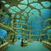 Harbin Polarland Aquarium