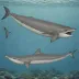 Hubbs' Beaked Whale