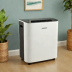 Hisense 30-Pint Dehumidifier