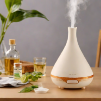 Homasy Ultrasonic Diffuser