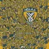 Hellas Verona FC