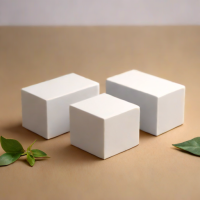 Hevasa Yoga Blocks (2-Pack)
