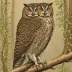 Himalayan Owl