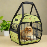 HoneyGuaridan Bird Carrier