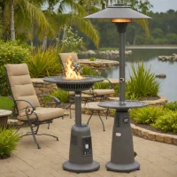 Hiland HLDSO1-WGTHG Propane Patio Heater