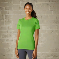 Hanes Nanooseek Tee
