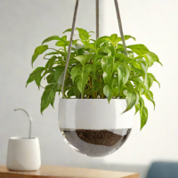 H2Oh! Indoor Self-Watering Hanging Planter