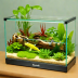 Habitrail Gecko Glass Terrarium