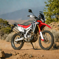 Honda CRF300L Rally