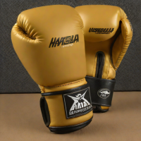 Hayabusa Pro-MX Boxing Gloves