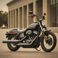 Harley-Davidson Street Bob