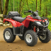 Honda FourTrax 250X