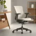 Herman Miller Equa
