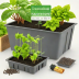 Hydrofarm Seed Starting Kit