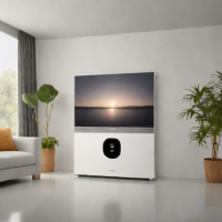 Haier HWD100X