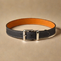 Hermès Dog Collar