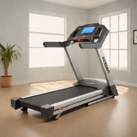 Horizon T101 Treadmill