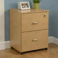 Home Impressions 2-Drawer File Cabinet
