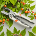 Hortanova Pruning Shears