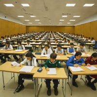 International Mathematical Olympiad (IMO)