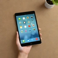 iPad Mini (4th generation)