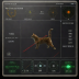 Interactive Laser Pointer (Cat)