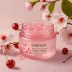 Innisfree Cherry Blossom Glow Jelly Cream