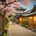 Irodori Japanese for Life in Japan