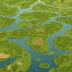 Iberá Wetlands