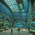 Istanbul Aquarium