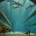 Io World Kagoshima City Aquarium