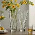Iittala Aino Aalto Vase