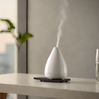 Invisi Diffuser by Stadler Form