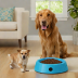 iFetch Interactive Automatic Pet Feeder