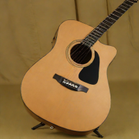 Ibanez AW54CE Artwood Dreadnought