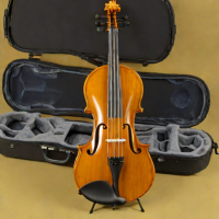 Ibanez VBV100E Acoustic-Electric Violin Outfit
