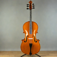 Ibanez AC340-LED 4/4 Cello Outfit