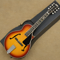 Ibanez M310