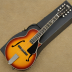 Ibanez M310