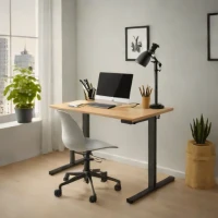 IKEA RODULF Desk sit/stand